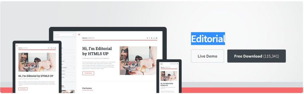 Free Website Template - Editorial